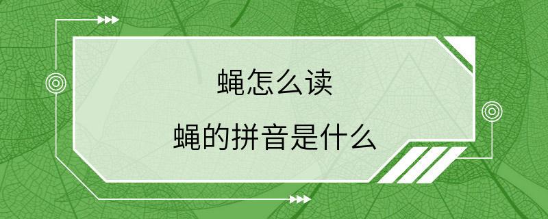 蝇怎么读 蝇的拼音是什么