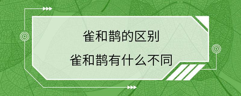 雀和鹊的区别 雀和鹊有什么不同