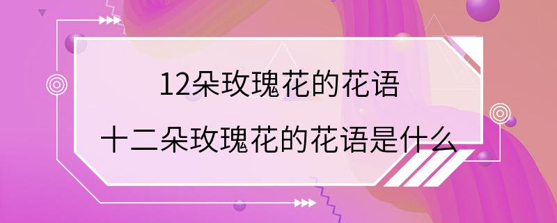 12朵玫瑰花的花语 十二朵玫瑰花的花语是什么