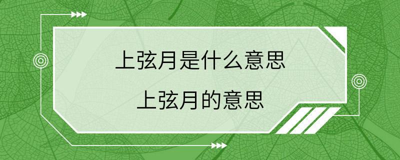 上弦月是什么意思 上弦月的意思