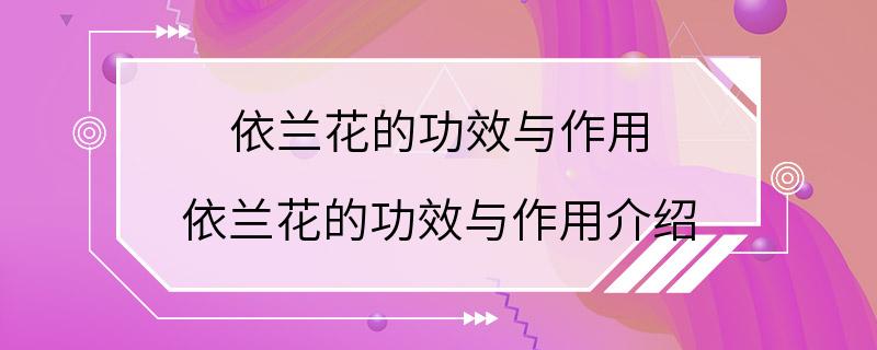 依兰花的功效与作用 依兰花的功效与作用介绍