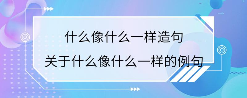 什么像什么一样造句 关于什么像什么一样的例句