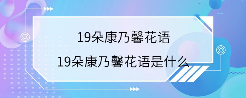 19朵康乃馨花语 19朵康乃馨花语是什么