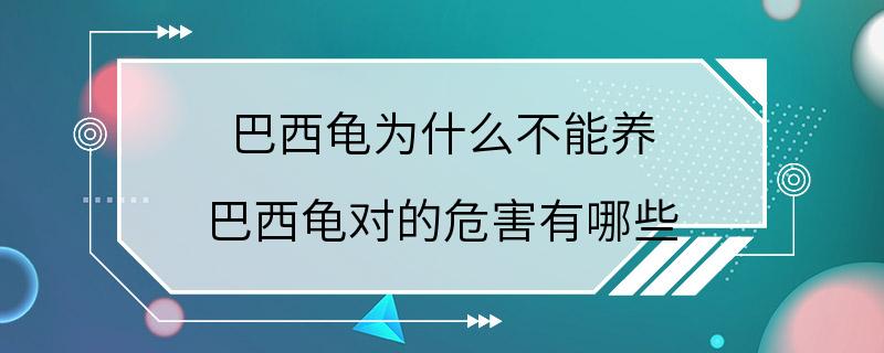 巴西龟为什么不能养 巴西龟对的危害有哪些