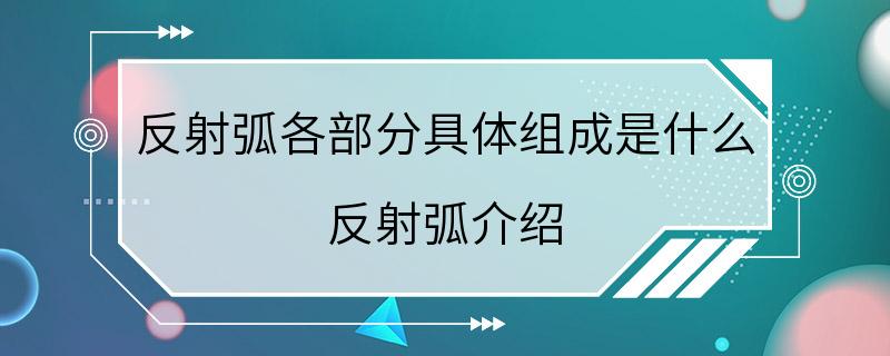 反射弧各部分具体组成是什么 反射弧介绍