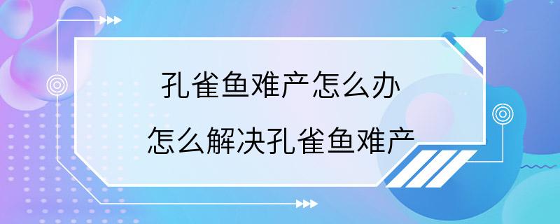 孔雀鱼难产怎么办 怎么解决孔雀鱼难产