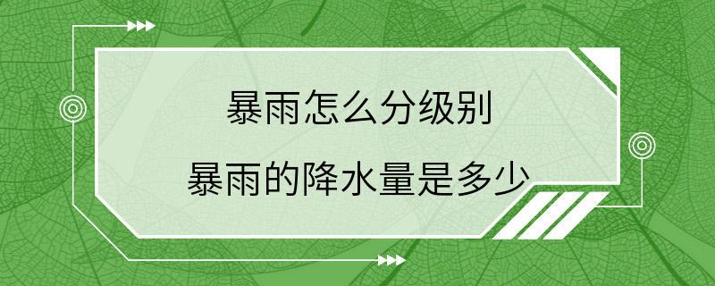 暴雨怎么分级别 暴雨的降水量是多少