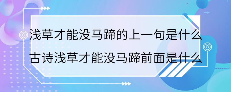 浅草才能没马蹄的上一句是什么 古诗浅草才能没马蹄前面是什么