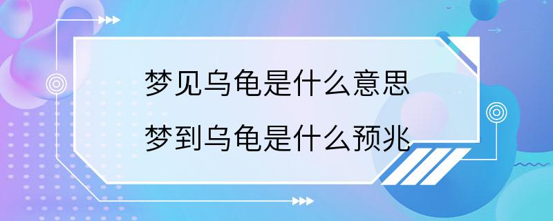 梦见乌龟是什么意思 梦到乌龟是什么预兆