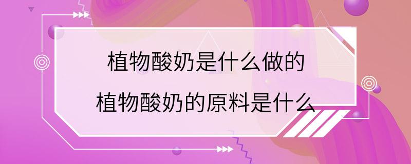 植物酸奶是什么做的 植物酸奶的原料是什么