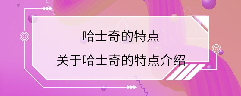 哈士奇的特点 关于哈士奇的特点介绍