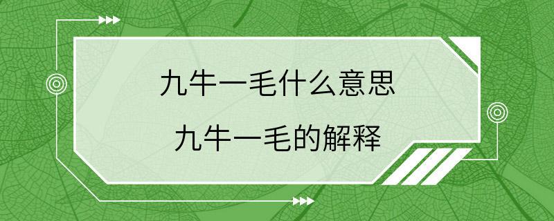 九牛一毛什么意思 九牛一毛的解释