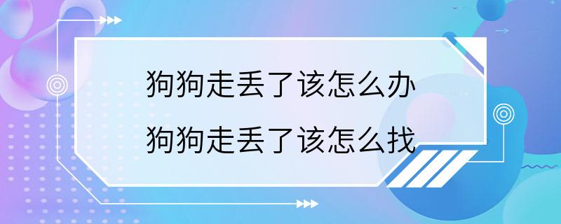 狗狗走丢了该怎么办 狗狗走丢了该怎么找