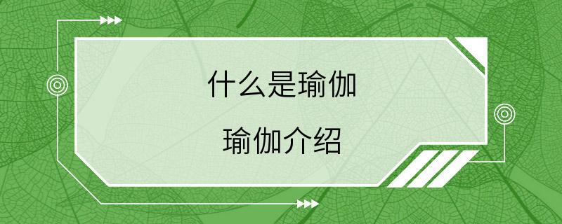 什么是瑜伽 瑜伽介绍