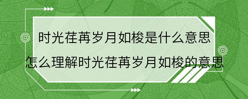 时光荏苒岁月如梭是什么意思 怎么理解时光荏苒岁月如梭的意思