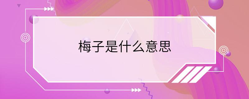 梅子是什么意思