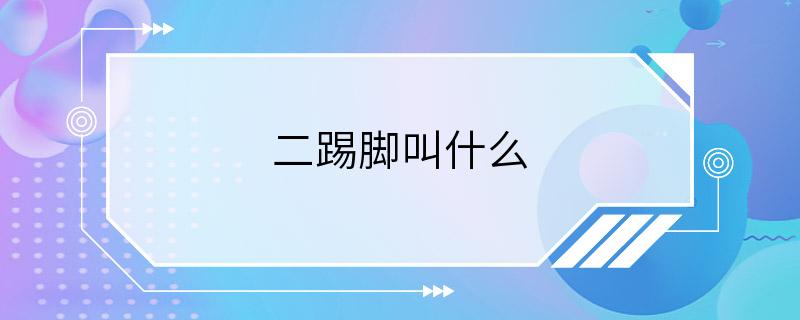 二踢脚叫什么