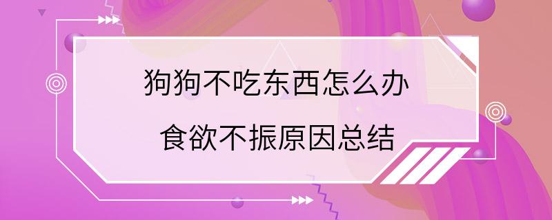 狗狗不吃东西怎么办 食欲不振原因总结