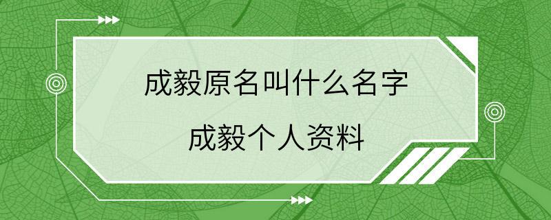 成毅原名叫什么名字 成毅个人资料