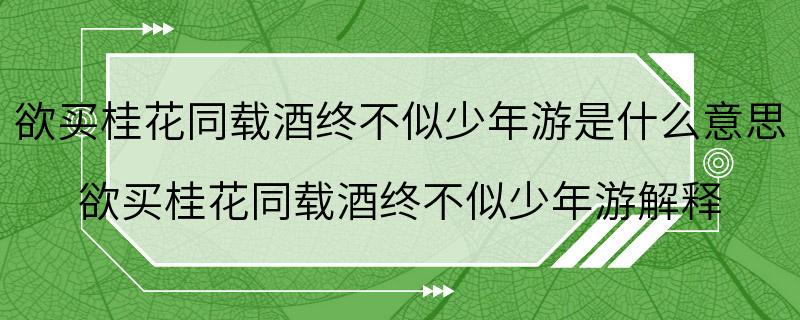 欲买桂花同载酒终不似少年游是什么意思 欲买桂花同载酒终不似少年游解释