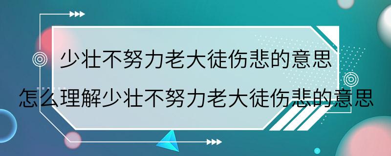 少壮不努力老大徒伤悲的意思 怎么理解少壮不努力老大徒伤悲的意思