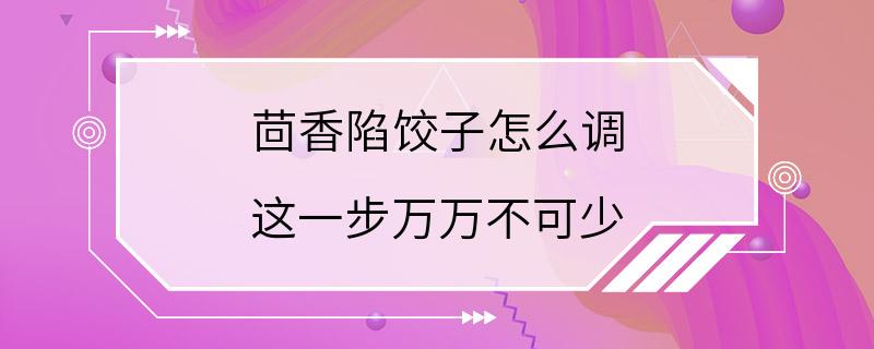 茴香陷饺子怎么调 这一步万万不可少