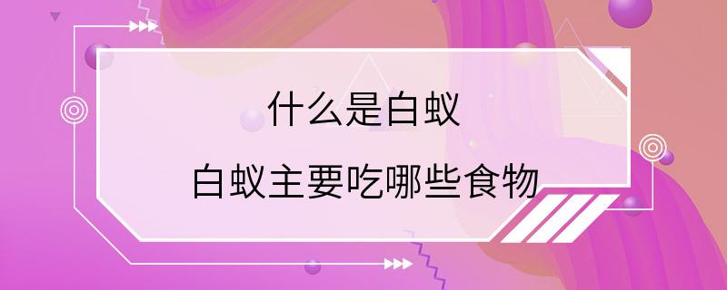 什么是白蚁 白蚁主要吃哪些食物