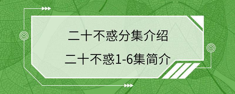 二十不惑分集介绍 二十不惑1-6集简介