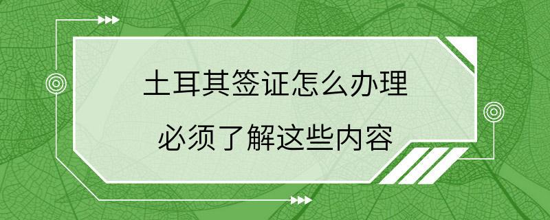 土耳其签证怎么办理 必须了解这些内容