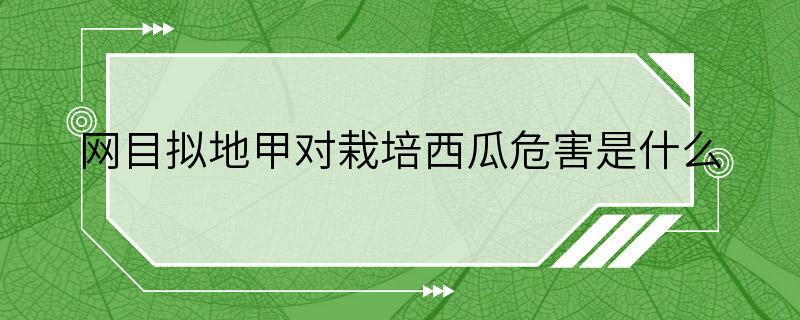 网目拟地甲对栽培西瓜危害是什么