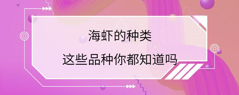 海虾的种类 这些品种你都知道吗