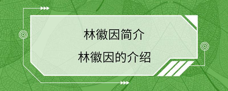 林徽因简介 林徽因的介绍