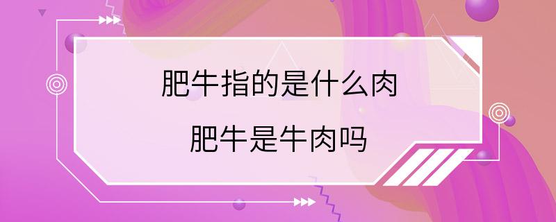 肥牛指的是什么肉 肥牛是牛肉吗