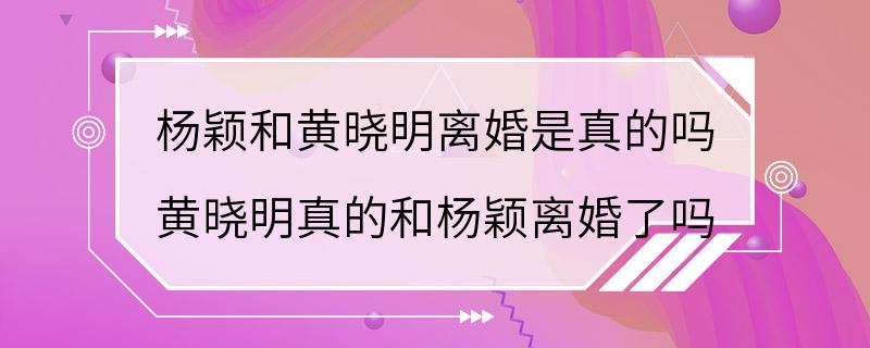 杨颖和黄晓明离婚是真的吗 黄晓明真的和杨颖离婚了吗