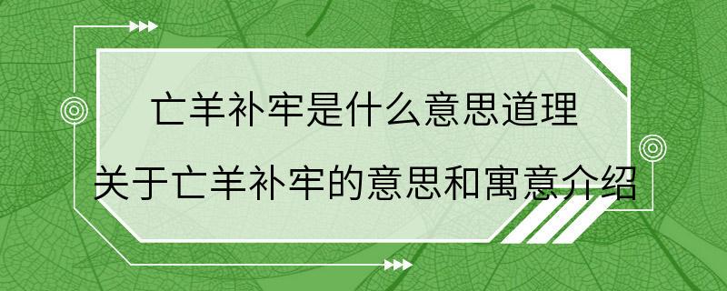 亡羊补牢是什么意思道理 关于亡羊补牢的意思和寓意介绍