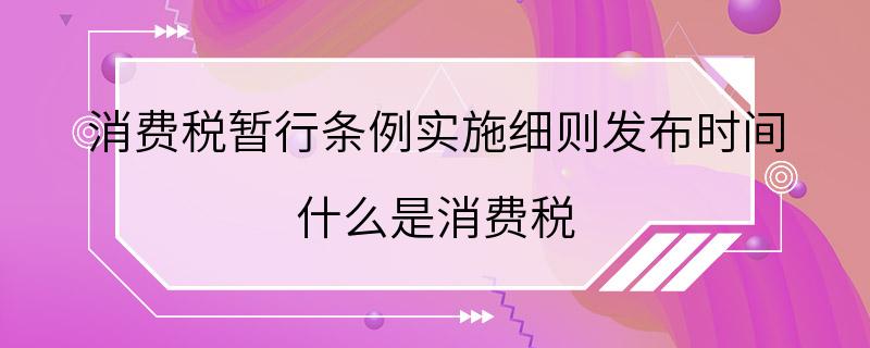 消费税暂行条例实施细则发布时间 什么是消费税