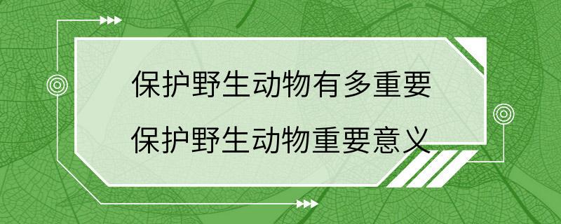 保护野生动物有多重要 保护野生动物重要意义