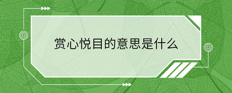 赏心悦目的意思是什么