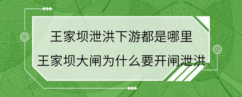 王家坝泄洪下游都是哪里 王家坝大闸为什么要开闸泄洪