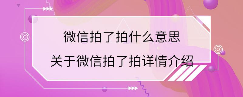 微信拍了拍什么意思 关于微信拍了拍详情介绍