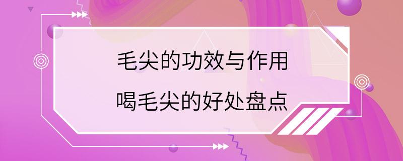 毛尖的功效与作用 喝毛尖的好处盘点