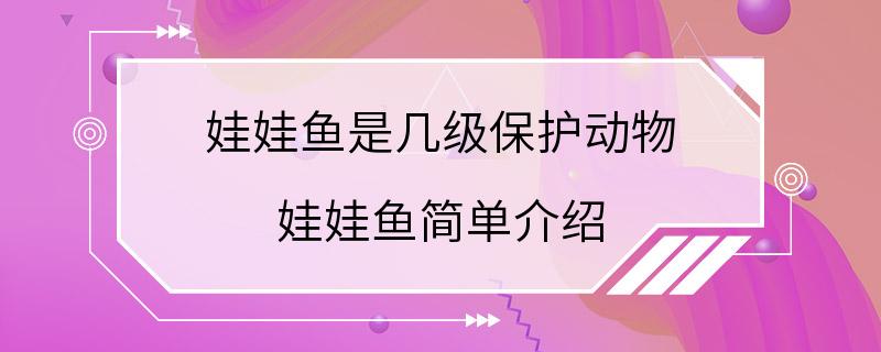 娃娃鱼是几级保护动物 娃娃鱼简单介绍