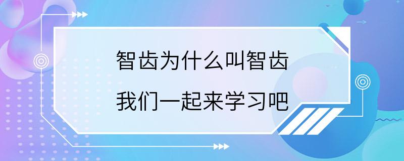 智齿为什么叫智齿 我们一起来学习吧