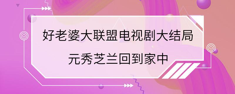 好老婆大联盟电视剧大结局 元秀芝兰回到家中