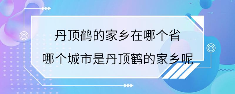 丹顶鹤的家乡在哪个省 哪个城市是丹顶鹤的家乡呢