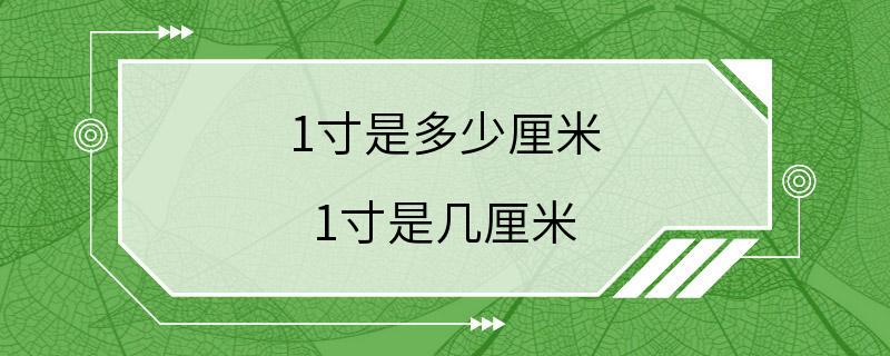 1寸是多少厘米 1寸是几厘米