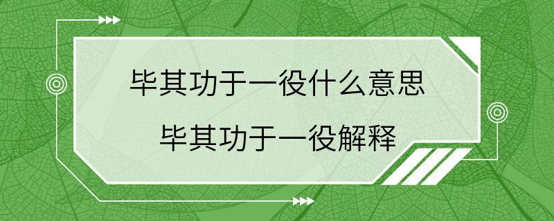 毕其功于一役什么意思 毕其功于一役解释