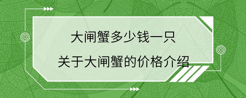 大闸蟹多少钱一只 关于大闸蟹的价格介绍