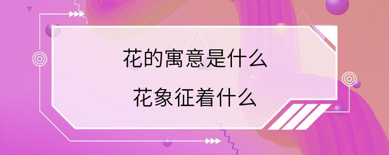 花的寓意是什么 花象征着什么