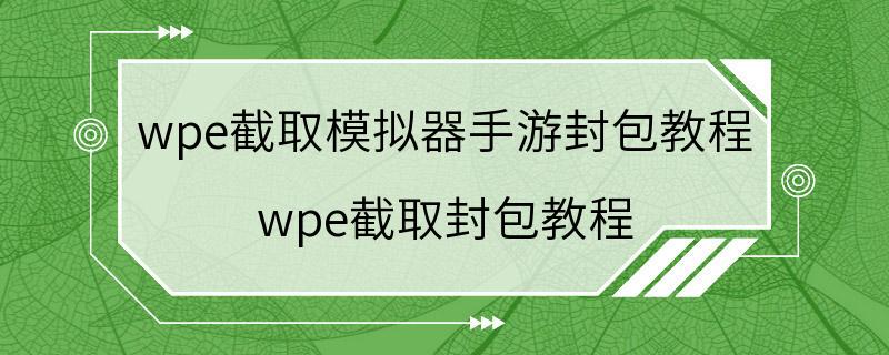 wpe截取模拟器手游封包教程 wpe截取封包教程